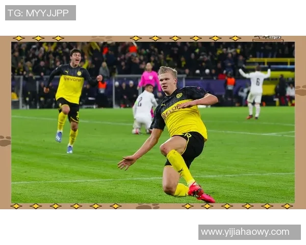 哈兰德足球生涯中的经典瞬间与精彩进球回顾